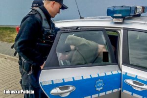 policjanci osadzają podejrzanego w radiowozie