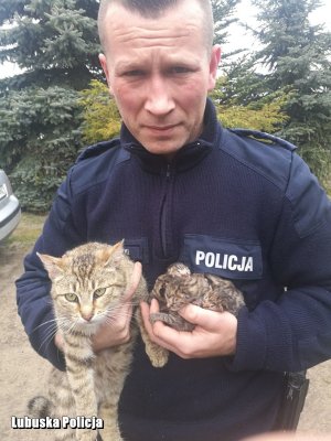 policjant trzyma uratowane koty