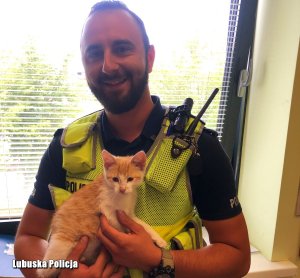 policjant trzyma kota