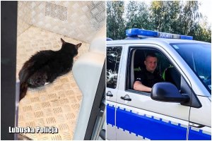 Po lewej stroni kot wewnątrz policyjnego radiowozu. Po prawej policjant siedzący w radiowozie.
