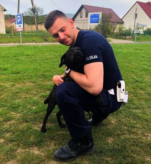 Policjant tulący psa