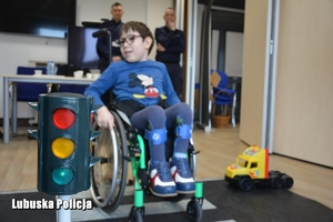 chłopiec na wózku inwalidzkim