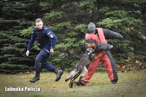 Policjant i jego pies obezwładnią napastnika