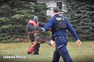 Policyjny przewodnik psa podczas działań