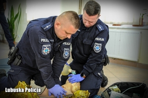policjanci prowadzą pierwszą pomoc medyczną na manekinie