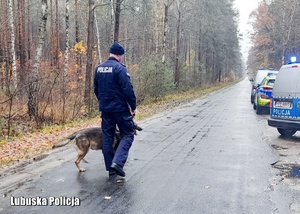 Przewodnik z psem policyjnym na drodze leśnej.