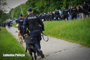 policjanci z psami prowadzą kibiców na stadion
