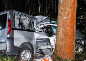 bus rozbity o drzewo