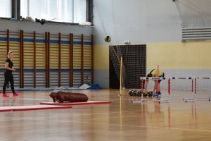 ćwiczenia na sali gimnastycznej.