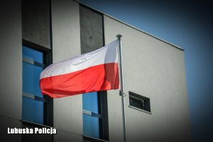 Biało-czerwona  flaga Polski na maszcie