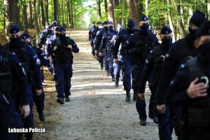 Policjanci idący rzędami w lesie.