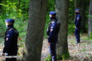 Policjanci oddziałów prewencji podczas poszukiwań w lesie.