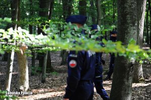Policjanci oddziałów prewencji podczas poszukiwań w lesie.