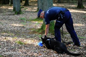 Policjant z psem służbowym w lesie.