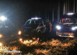 Pojazdy Policji i Straży Pożarnej w lesie.