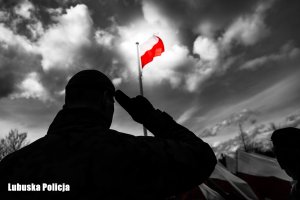 Żołnierz salutuje do flagi Polski.