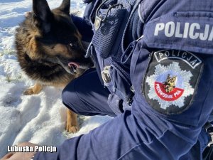 policyjny pies Oskar i jego przewodnik
