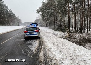 Policyjny radiowóz na jezdni - w tle las w zimie.