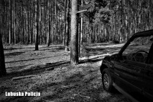 czarnobiałe zdjęcie przedstawiające auto w lesie