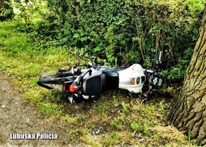 Uszkodzony motocykl na trawie.