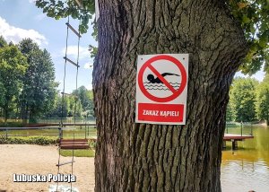 Tabliczka zakaz kąpieli na drzewie nad brzegiem jeziora.