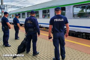 policjanci i funkcjonariusze Straży Ochrony Kolei stoją na peronie