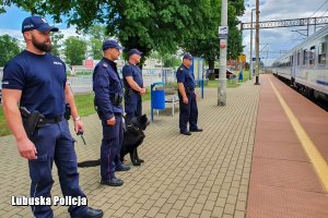 policjanci i funkcjonariusze Straży Ochrony Kolei stoją na peronie