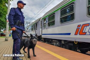 funkcjonariusz Straży Ochrony Kolei stoi na peronie z psem