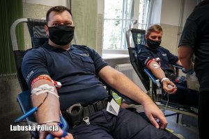 policjanci oddają krew