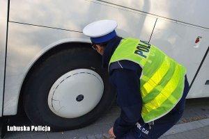 policjantka prowadzi kontrolę autokaru