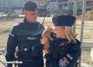 policjanci z kotkiem