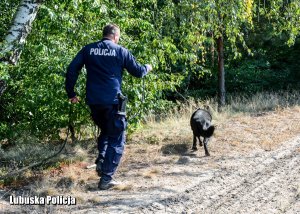 policjant prowadzi psa