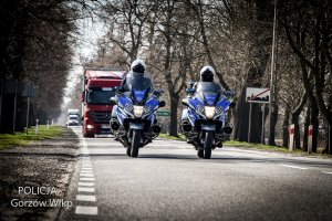 Policyjne motocykle jadące drogą.