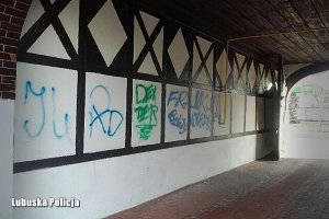 Mury biblioteki pomalowane sprayem przez wandali