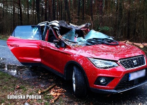 Samochód z uszkodzonym dachem po zawaleniu się drzewa