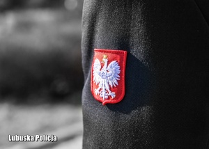 Godło Polski na mundurze żołnierza.