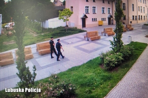 Obraz monitoringu: policjanci patrolują deptak