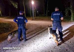 Policyjni przewodnicy ze swoimi psami podczas patrolu