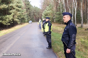Policjanci w tyralierze podczas poszukiwań w lesie