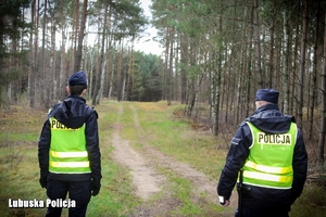 Policjanci podczas poszukiwań osoby zaginionej w lesie