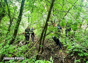 Policjanci podczas sprawdzania terenów leśnych.