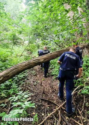 Policjanci podczas sprawdzania terenów leśnych.