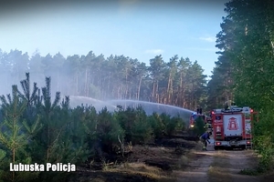 Wóz strażacki w akcji gaszenia lasu