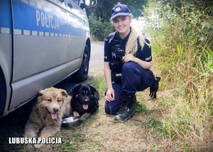 Policjantka i psy przy radiowozie