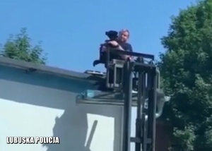 Policjant przy użyciu wózka widłowego próbuje ściągnąć psa z dachu.