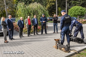 policjanci z psami stoją przed kilkoma osobami