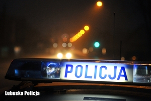 Policyjny radiowóz w nocy - w tle droga.