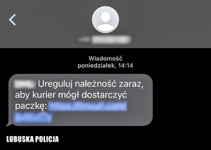 Zrzut ekranu z komunikatora smsowego.