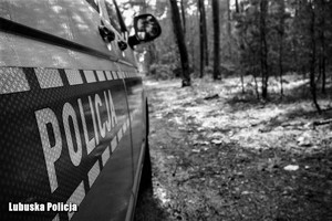 Radiowóz policjanta w lesie