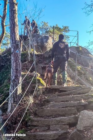Policjanci z psami podczas ćwiczeń w górach